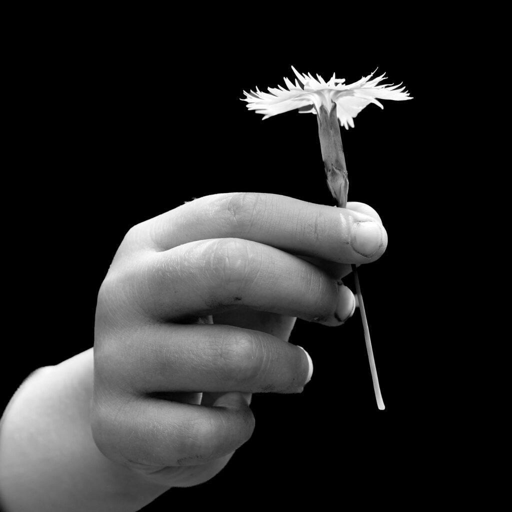 Main tenant délicatement une petite fleur blanche - La beauté tient parfois dans la paume d'une main, photographie noir et blanc