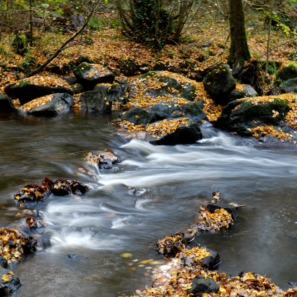 L'Automne sur le Sentier du Granit.