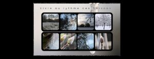 Vivre au rythme des saisons - Grille de photographies de la nature capturant les quatre saisons